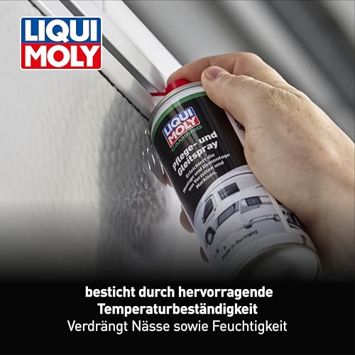 LIQUI MOLY Camping Pflege- und Gleitspray | 200 ml | Reinigung / Pflege / Wartung | Art.-Nr.: 21808