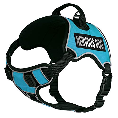 Top 10 Harness For Nervous Dog of 2022 Katynel