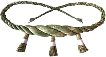 51Ll8BUGtQL._AC_UF350,