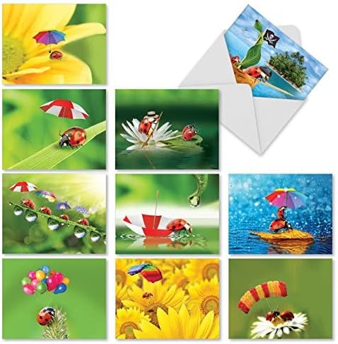 The Best Card Company - 10 Wildlife Thank You Greeting Cards w/Envelopes, Cute Animal Boxed Notes Stationery - Lady B. M1546TY