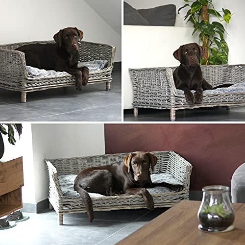 UNUS Hundebett aus Weide, eckiges Hundesofa, 80 cm breit, mit grauem Polyesterkissen, ideal für mittelgroße bis große Hunde