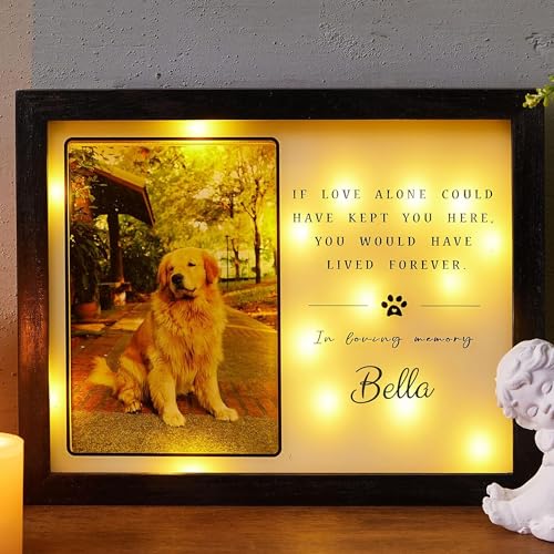 WOODEXPE-Pet-Memorial-Gift-LED-Shadow-Box-with-Picture-Frame-Memorial-Gift-for-Loss-of-Dog-or-Cat-Black