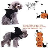 Zoom IMG-2 ali di pipistrello cane halloween