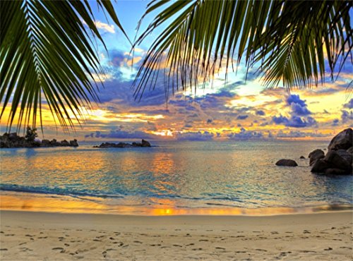 Leowefowa Vinyl 9X6FT Seaside Sand Beach Backdrop Tropical Coconut Tree Sunset Scene Photography