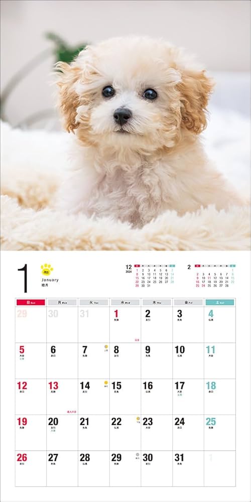 アンティーク　プードルの日めくりカレンダー 2025年カレンダー トイ・プードル (誠文堂新光社カレンダー