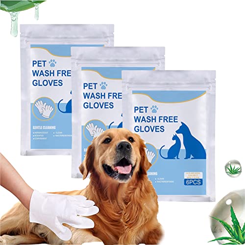 10 best disposable gloves for massage Quick Guide Pro