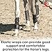 4Pcs Protectores Para Caballos Patas, Horse Leg Wraps Protectores Boots Set for Front Hind Legs Guard Equestrian Trail, Fly Protection Sport Splint, Support Botas Athletic Gears, Neoprene Accessories