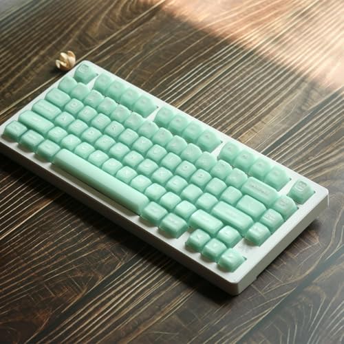 Image of 142 Keys SA Profile Light Green Keycaps PBT Doubleshot Translucent Keycaps Set Fit for 61 /64 /87 /104 /108 Cherry Mx Switches ISO ANSI Mechanical Keyboars Alice Keyboard