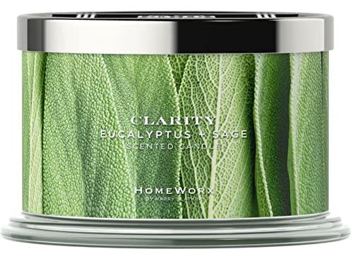 HomeWorx by Harry Slatkin 4 Wick Candle, 18 oz., Clarity: Eucalyptus + Sage