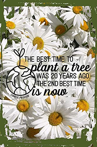 Daisy Flower Wall Art Best time to plant a tree was 20 years ago, 2nd best time is now Hanging Wall...