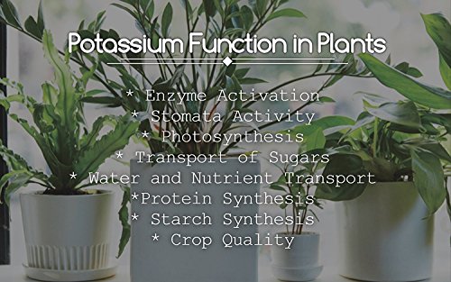 CANNA PK 13-14 - 250mL [902113]