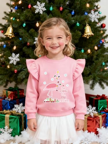 Image of EULLA Toddler Girls Christmas Sweatshirt Long Sleeve Snowman Deer Santa Claus Xmas Holiday Shirts for Kids Sweater 2-7 Years