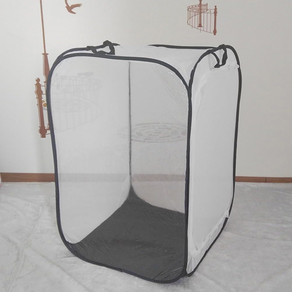 View 3