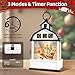 Christmas Lantern Snow Globe Barn Water Glittering Lantern with 6H Timer Function Christmas Snow Globes 3 AA Battery Operated for Holiday Xmas Festival Decorations Gifts (Barn)