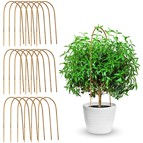 Coloch 20 Pack Bamboo U Trellis Support, 16 Inch U