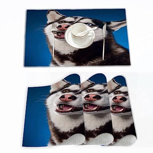 【Tovagliette Set】 Include 4 tovagliette. Dimensioni: 45x30cm. Queste tovagliette non solo proteggono efficacemente il tuo tavolo da graffi e macchie, ma prolungano anche la vita del tuo tavolo.