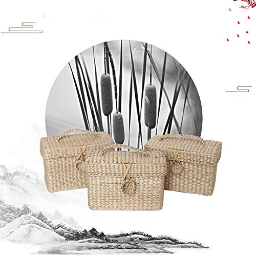 Cesto Portaoggetti In Rattan Con Coperchio, 31x16 Cm, Decorativo Per Cucina E Casa