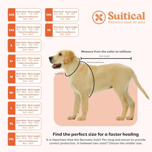 Image of Suitical - The Original Dog Surgery Recovery Suit - Replace E-Collar & Cone - Spay, Neuter, Wounds, Prevent Licking - XLarge Neck to Tail 29.1-32.3in - Chest 34-44.5in - Weight 68-80lbs Sandstone Grey