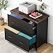 Tribesigns 2-Drawer File Cabinet, Wood Lateral Filling Cabinet Printer Stand Office Credenza Storage for Home Office, Letter Size (Black and Brown)