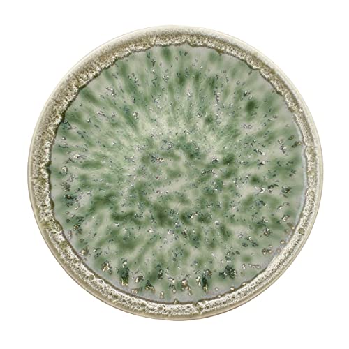 LOT 6 ASSIETTES PLATES JADE 27CM EN PORCELAINE VERT