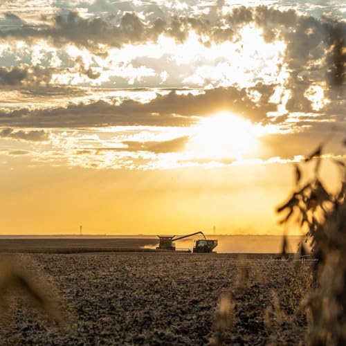 HUSA Oct 2 2025 - Fall Harvest Update