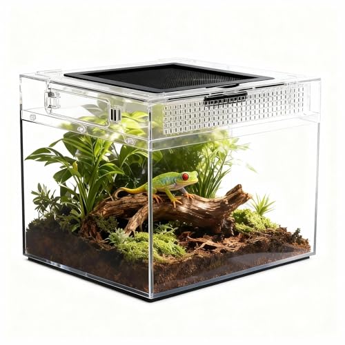 Terrarium pour Reptiles,30*18*22cm Transparent Boîte d'élevage en Acrylique pour Reptiles, avec Trous d'air, pour Araignées, Grenouilles Cornues,...