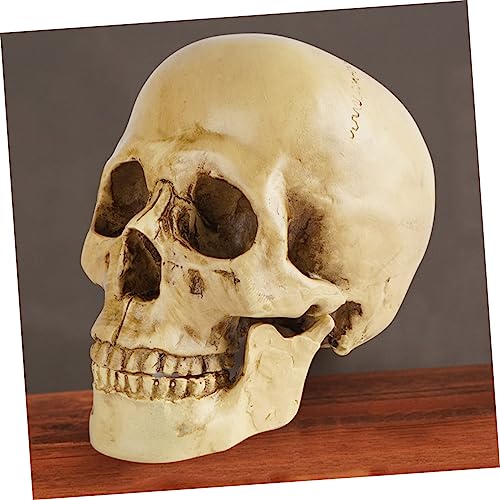 HEASOME Modelo De Caveira Halloween Decoração De Desktop Estatuetas Colecionáveis ​​Crânio Humano Mo