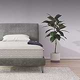 Signature Sleep Contour 8' Reversible Mattress, Independently Encased Coils, Bed-in-a-Box, Twin