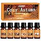 SALUBRITO Herbst Ätherische Öle Set für Diffuser, Naturrein Aromatherapie Duftöl für Diffusor 6 x 10ml – Zimt, Kürbisgewürz, gewürzter Apfelwein, Snickerdoodle, Vanille, Muskatnuss