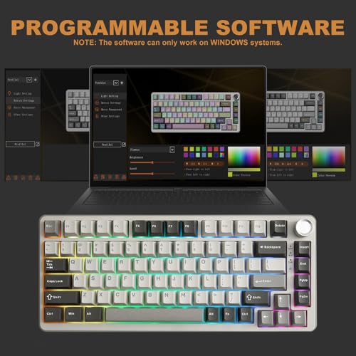 Image of YUNZII B75 PRO Wireless Mechanical Gaming Keyboard, 75% Layout, Hot Swappable, Pre-Lubricated Linear Switches, RGB Backlight, Bluetooth /Type-C /2.4G, Creamy Keyboard for Mac /Windows (Milk Switch, Grey)