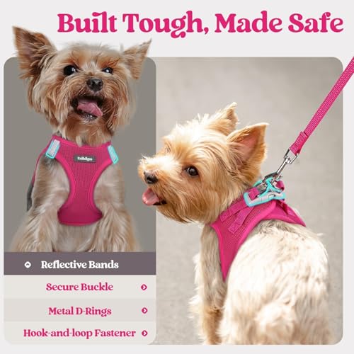rabbitgoo Dog Harness Small Sized and Leash Set, Step in Soft Light Puppy Vest, Breathable Mesh Pet Harness, Reflective for Safe Easy Walking, Rose Red S - Image 6