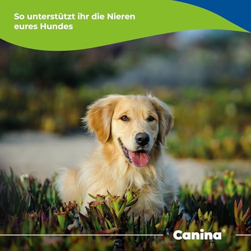 Canina Kräuter-Doc Niere und Harnblase,300g