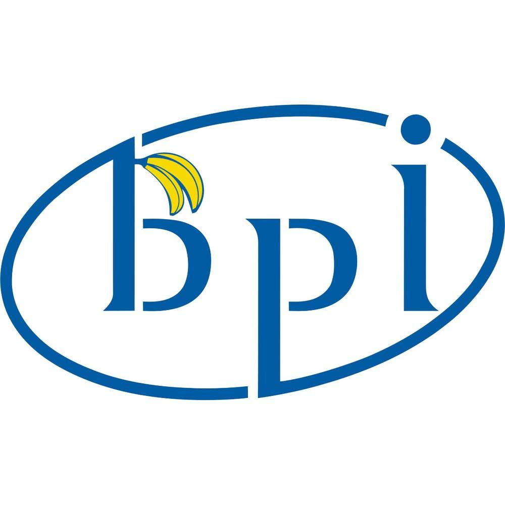 Banana PI Router 1 GB senza sistema operativo BananaPi-R1