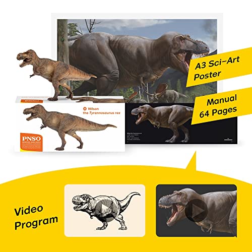Image of PNSO Prehistoric Animal Models: 25 Wilson the Tyrannosaurus Rex