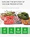 Syntus Vacuum Sealer Bags for food, 2 Pack 11
