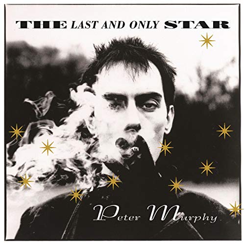 Album Art for The Last And Only Star (Rarities) (GOLD VINYL) by Peter Murphy