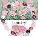 Birthstone Beaded Stretch Bracelets Healing Crystal Zodiac Bracelet for Women Men Natural Stone Chakra Anxiety Relief Birth Month Flower Beads Bracelets Horoscope Jewelry Birthday Gifts-January