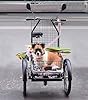 LSQXSS Cargo Trike with Vegetable Basket,Large Steel Front Shopping Basket,Ride-on Tricycle,Cruiser Trike with Single Rear Brake,Height Adjustable Saddle #3