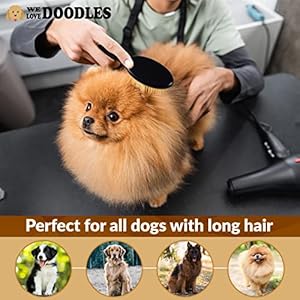 Pet-Grooming-Detangler-Pin-Dog-Brush-For-Shedding-and-Removing-Loose-Fur-Lightweight-Beech-Wood-with-Gold-Plated-Pins-for-Long-Hair-We-Love-Doodles - Cucciolini Doodles   Pet-Grooming-Detangler-Pin-Dog-Brush-For-Shedding-and-Removing-Loose-Fur-Lightweight-Beech-Wood-with-Gold-Plated-Pins-for-Long-Hair-We-Love-Doodles
