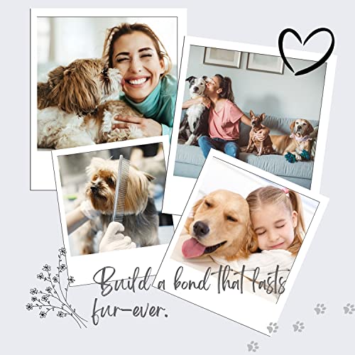 Flexzion-Pet-Grooming-Comb-Stainless-Steel-Cats-Dogs-Puppy-Medium-Animals-Fur-Trimmer-Brush-Accessory-Tool-With-Smooth-Teeth-Needle-Durable-Lightweight-40Mm-1-Medium-40mm