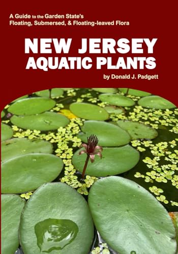 New Jersey Aquatic Plants: A Guide to the Garden State’s Floating, Submersed & Floating-leaved Flora