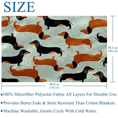 Couverture chaude teckel en textile premium 150 x 100 - 6
