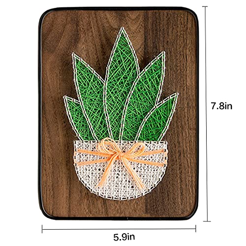 Image of BAZIMA DIY String Art Kit for Beginner,DIY Aloe Potted Craft Kit,Unique Gift,Craft Kit for Holidays