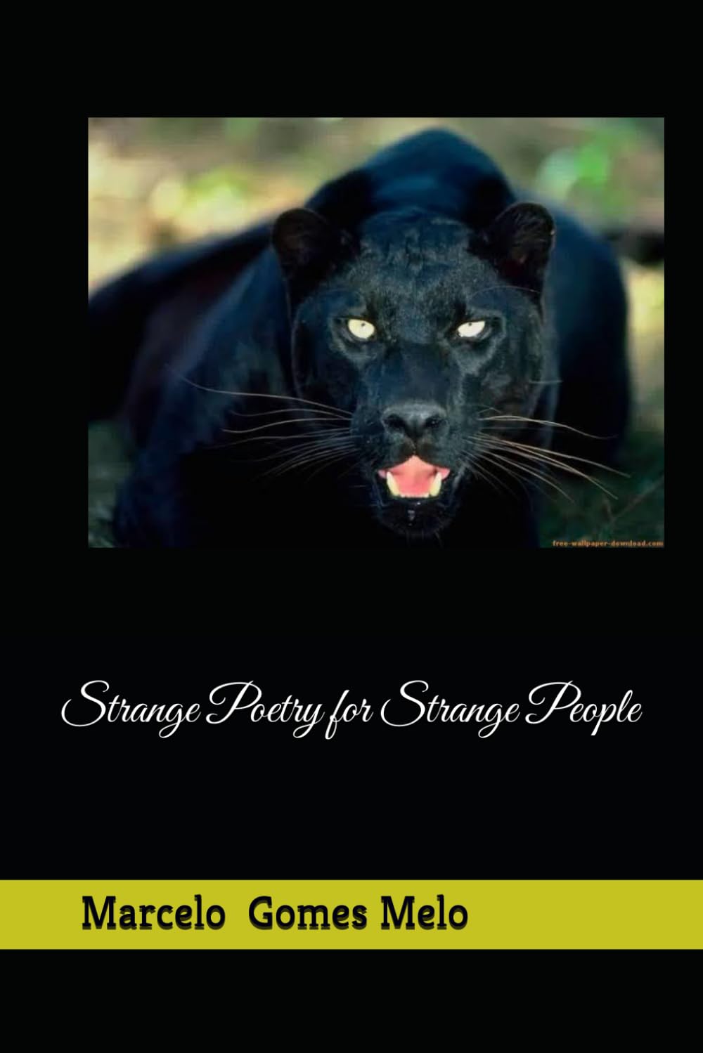 Strange Poetry for Strange People