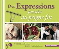 Des Expressions Passées Au Peigne Fin 2913381804 Book Cover