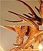 XINDAR Deer Antler Chandeliers 6 Light, Resin Faux Antler Light Fixtures Farmhouse Rustic Candle Pendant Lighting Deer Horn Design