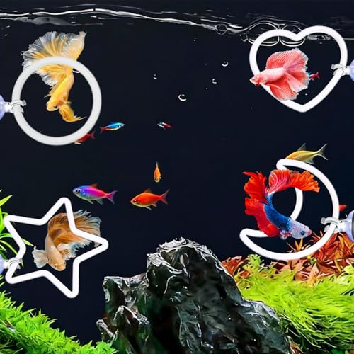 Wzttdm 8�� Betta �G�N�T�T�C�Y�����O �z�Օt�� �x�b�^�t�B�b�V���g�C �x�[�^�������كA�N�Z�T���[ �x�b�^�^���N�p���a�����O