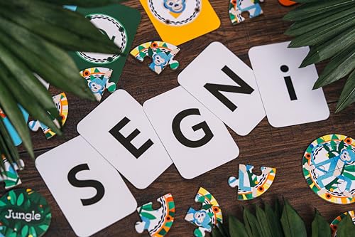 Jeu classique Hiboutatillus Quart de Singe - vue 7