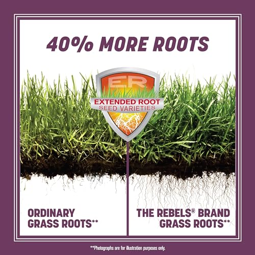 Pennington 100543726 The Rebels Tall Fescue Shady Grass Seed Mix 7 Lb thumb #2