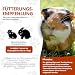 Alfavet RodiCare Dia, Ergänzungsfuttermittel für Zwergkaninchen und Meerschweinchen, bei Durchfall, mit Natriumbutyrat, zuckerfrei, 3 Injektoren à 12 ml